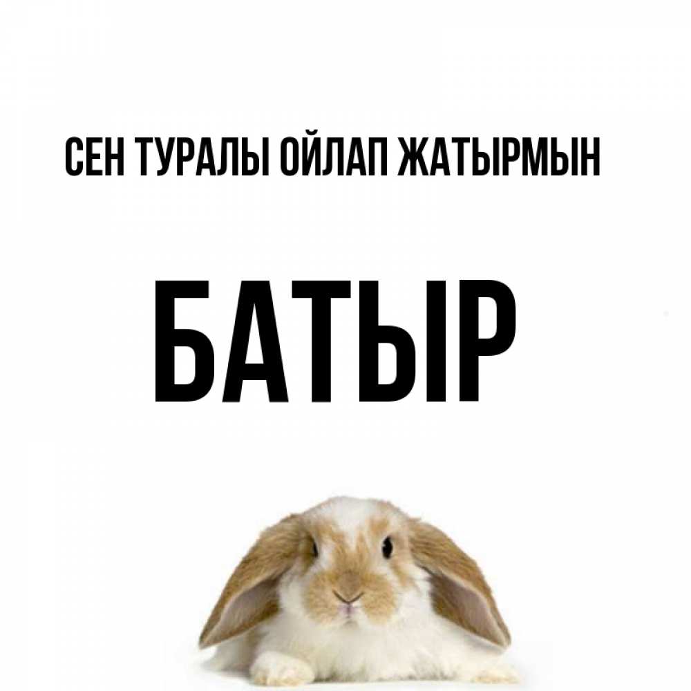 Күн сайын ашық хат с именем, Батыр Сен туралы ойлап жатырмын подписать своими руками онлайн Онлайн тегін жүктеп алу тілектері бар керемет карта 