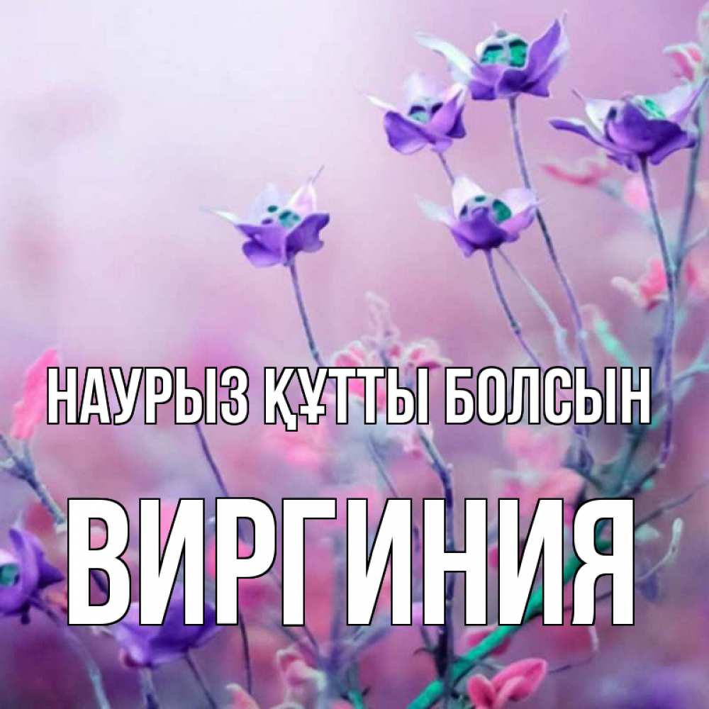 Күн сайын ашық хат с именем, Виргиния Наурыз құтты болсын наурыз  2 Онлайн тегін жүктеп алу тілектері бар керемет карта 