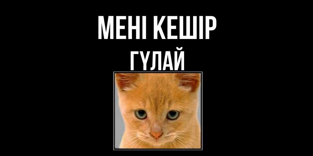 Күн сайын ашық хат с именем, ГҮЛАЙ Мені кешір рыжий грустный кот просит прощения Онлайн тегін жүктеп алу тілектері бар керемет карта 