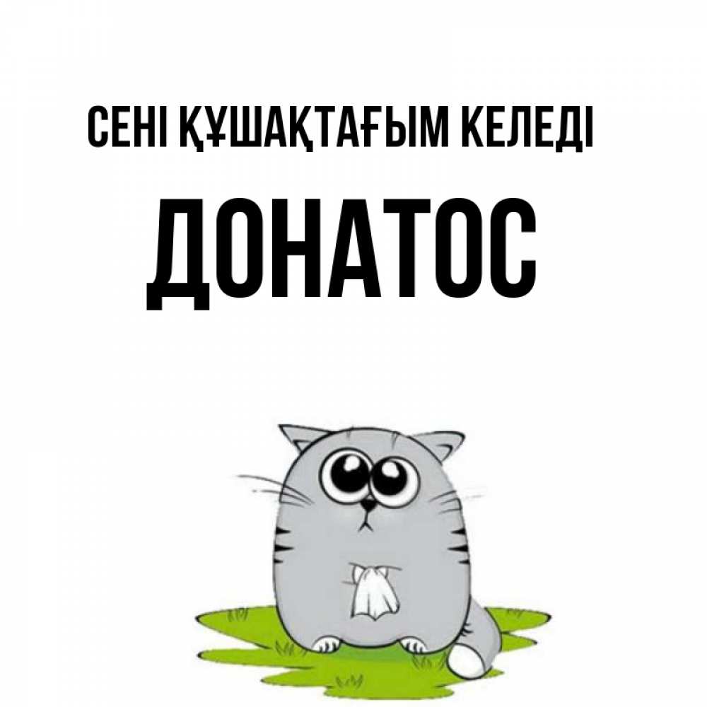 Күн сайын ашық хат с именем, Донатос сені құшақтағым келеді котик теребит платочек сидя на травке Онлайн тегін жүктеп алу тілектері бар керемет карта 