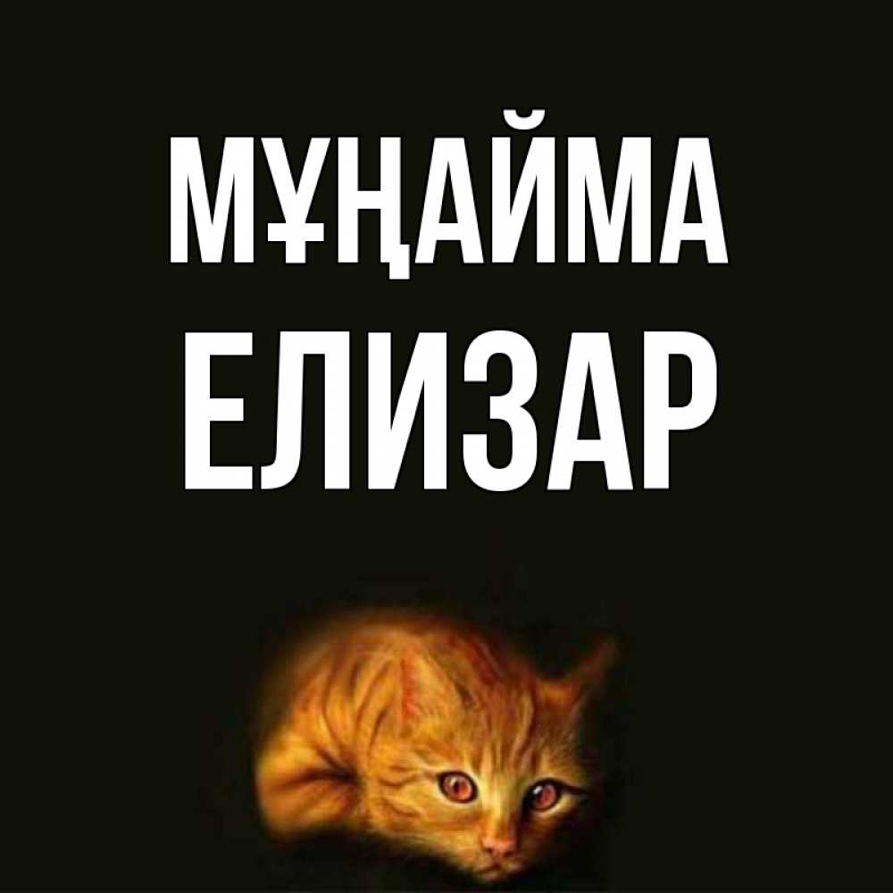 Күн сайын ашық хат с именем, Елизар Мұңайма лежащий кот в темноте Онлайн тегін жүктеп алу тілектері бар керемет карта 