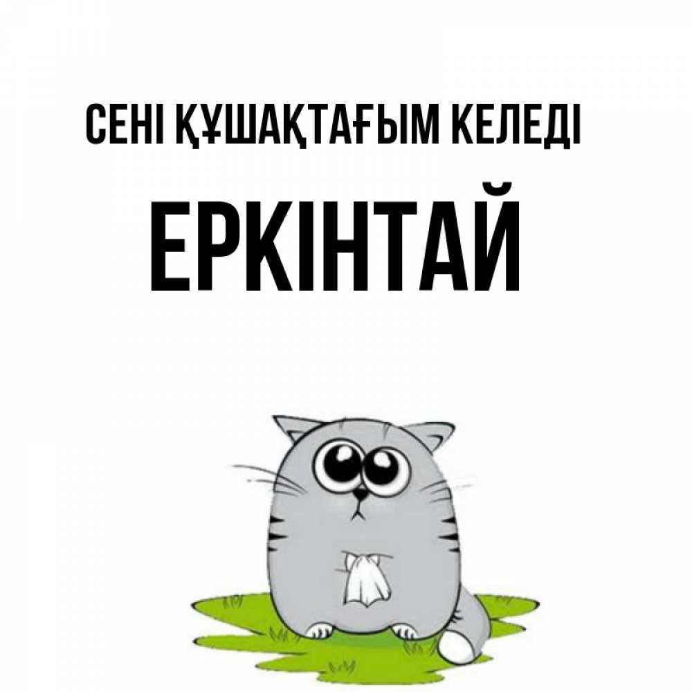 Күн сайын ашық хат с именем, Еркінтай сені құшақтағым келеді котик теребит платочек сидя на травке Онлайн тегін жүктеп алу тілектері бар керемет карта 