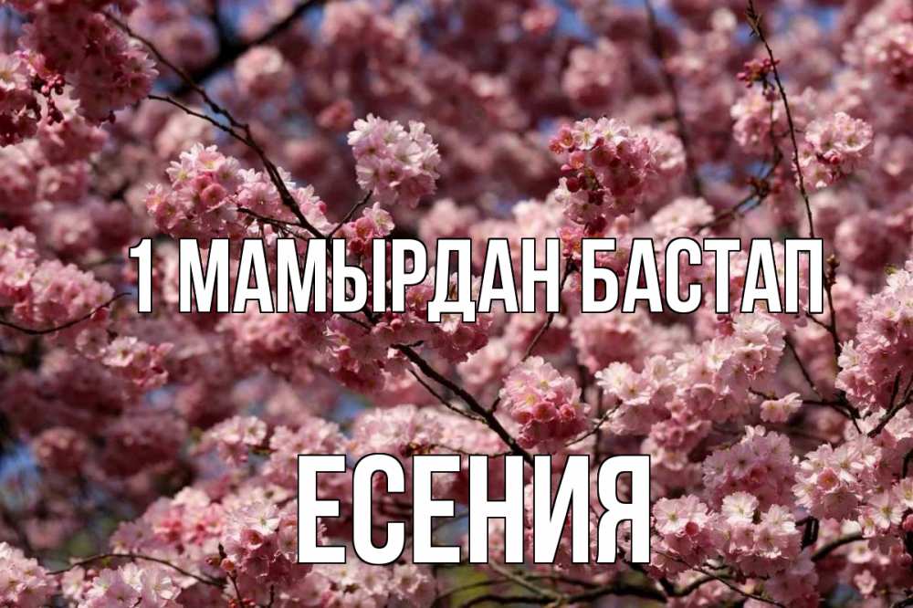 Күн сайын ашық хат с именем, Есения 1 мамырдан бастап С 1 мая Онлайн тегін жүктеп алу тілектері бар керемет карта 