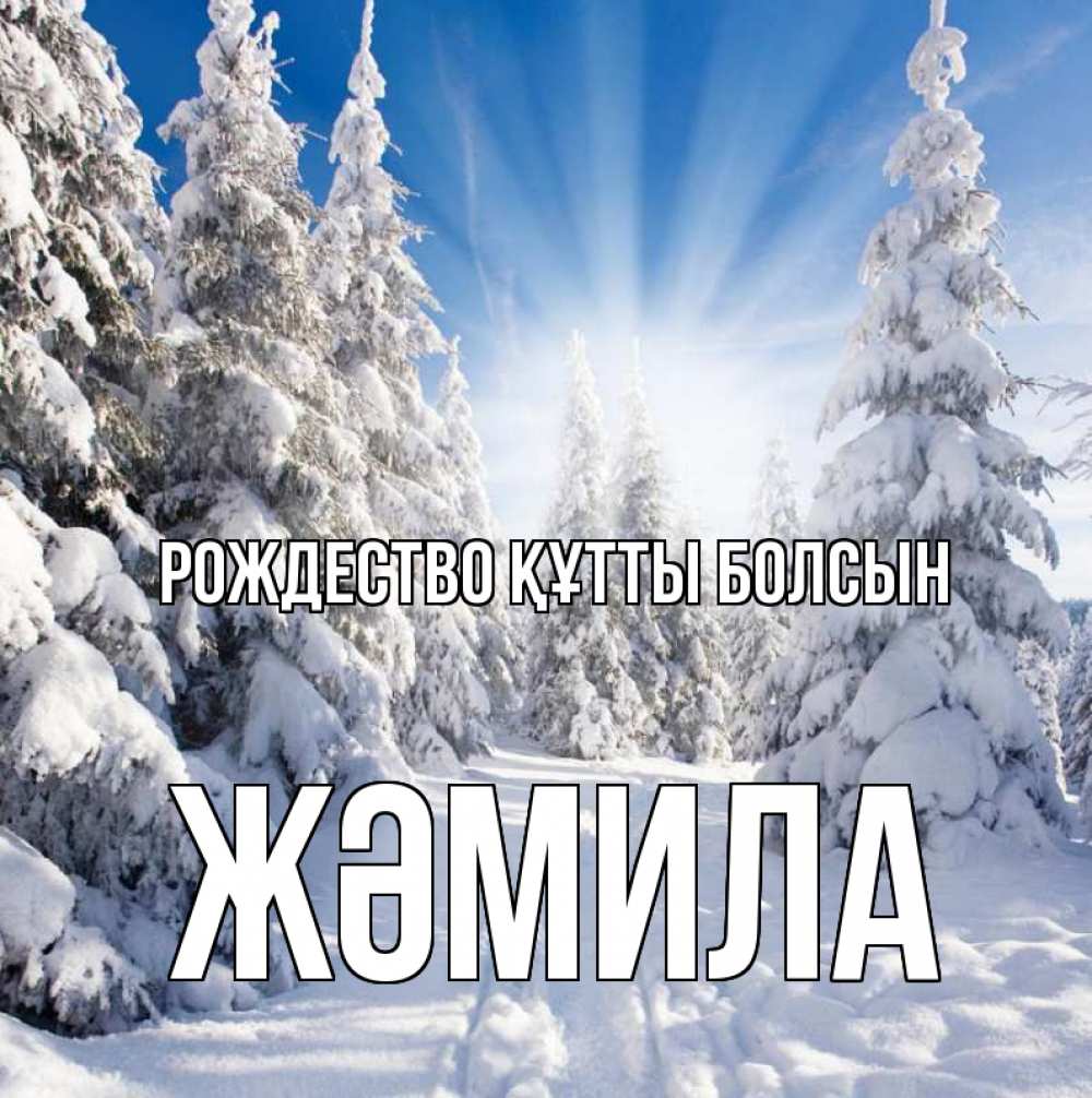 Күн сайын ашық хат с именем, ЖӘМИЛА Рождество құтты болсын зима, лес Онлайн тегін жүктеп алу тілектері бар керемет карта 