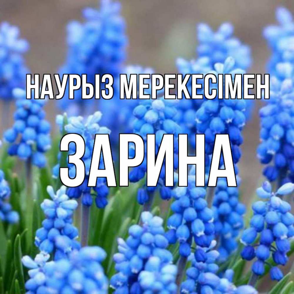 Күн сайын ашық хат с именем, ЗАРИНА Наурыз мерекесімен Поздравительная открытка для женщин с цветами на праздничную дату Онлайн тегін жүктеп алу тілектері бар керемет карта 
