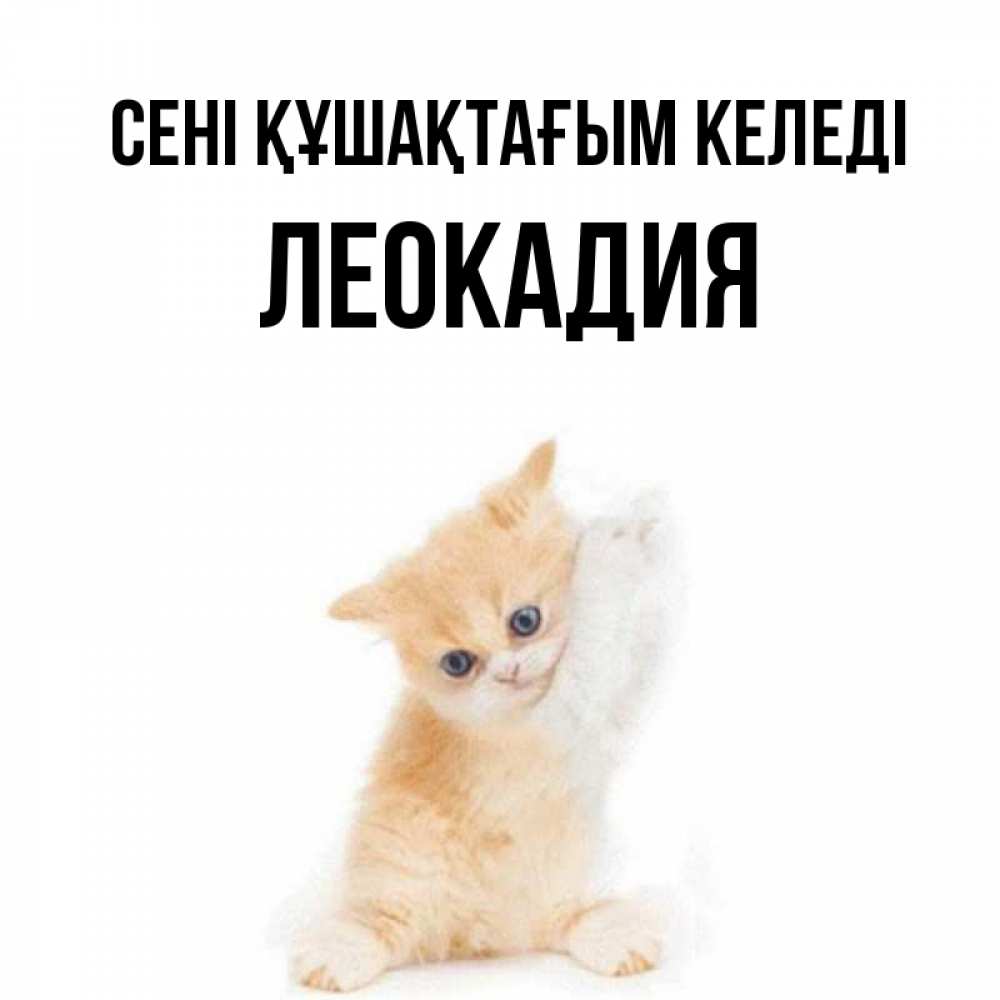 Күн сайын ашық хат с именем, Леокадия сені құшақтағым келеді я хочу очень скорее обнимаешек Онлайн тегін жүктеп алу тілектері бар керемет карта 