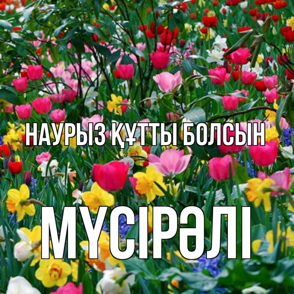 Күн сайын ашық хат с именем, МҮСІРӘЛІ Наурыз құтты болсын с наурызом поздравления для женщины Онлайн тегін жүктеп алу тілектері бар керемет карта 