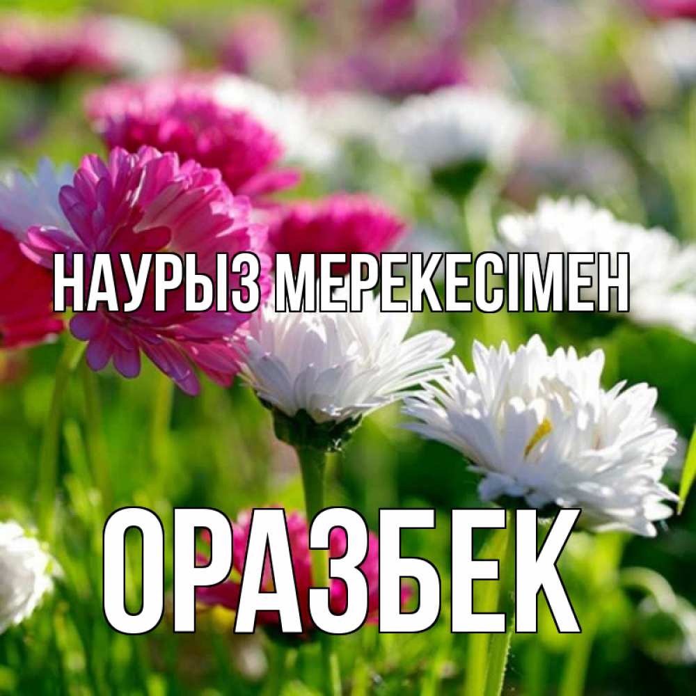 Күн сайын ашық хат с именем, ОРАЗБЕК Наурыз мерекесімен праздник весны наурыз красота Онлайн тегін жүктеп алу тілектері бар керемет карта 