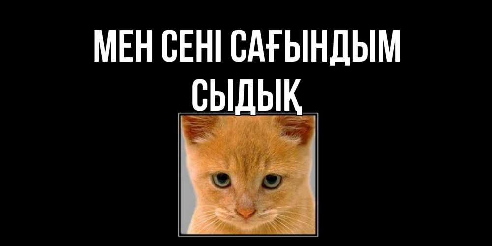 Күн сайын ашық хат с именем, СЫДЫҚ Мен сені сағындым открытки рыжий котенок скучает по тебе Онлайн тегін жүктеп алу тілектері бар керемет карта 