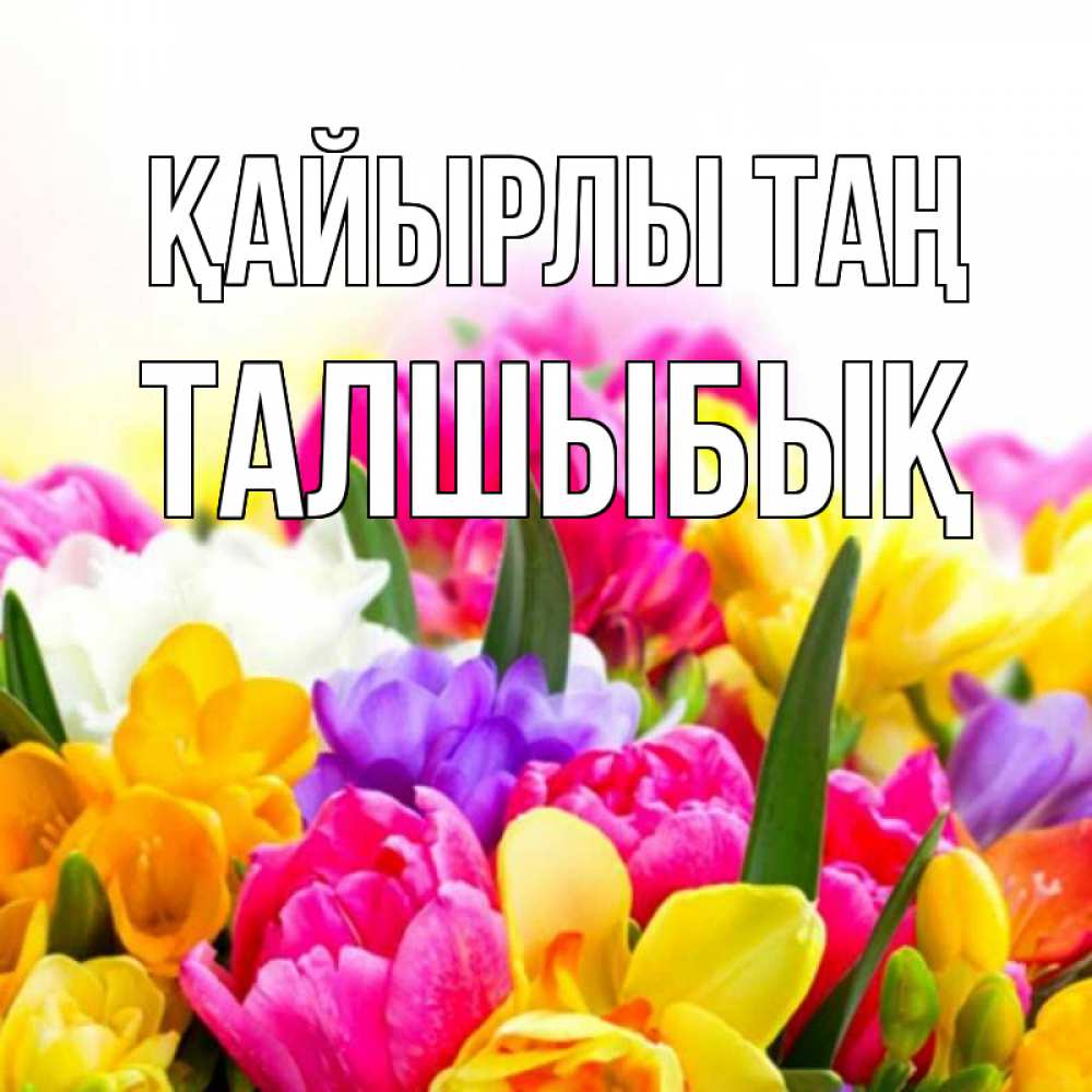 Күн сайын ашық хат с именем, ТАЛШЫБЫҚ Қайырлы таң создать открытку со свое подписью Онлайн тегін жүктеп алу тілектері бар керемет карта 