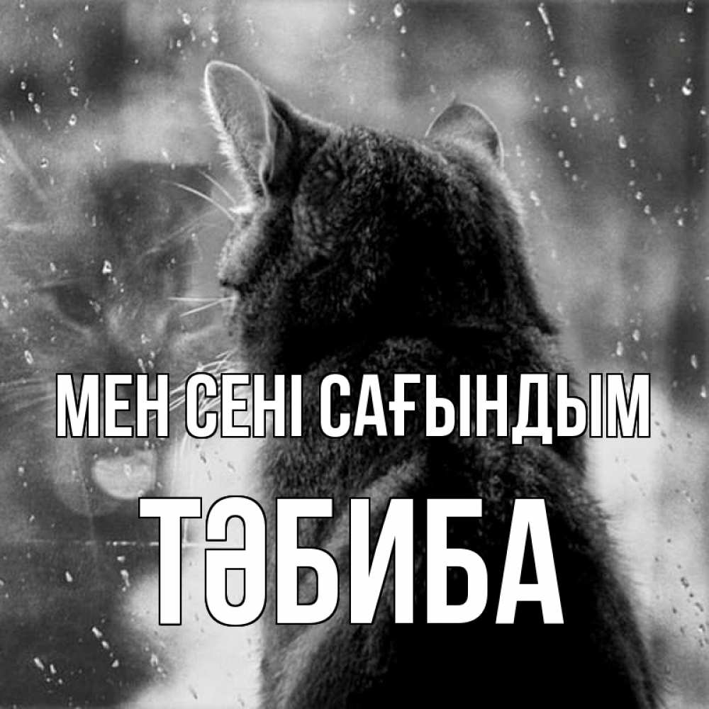 Күн сайын ашық хат с именем, ТӘБИБА Мен сені сағындым скорее ко мне приходи 1 Онлайн тегін жүктеп алу тілектері бар керемет карта 