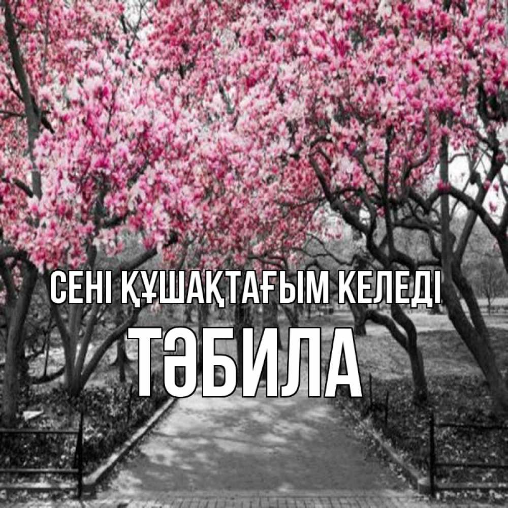 Күн сайын ашық хат с именем, ТӘБИЛА сені құшақтағым келеді обработанное фото Онлайн тегін жүктеп алу тілектері бар керемет карта 