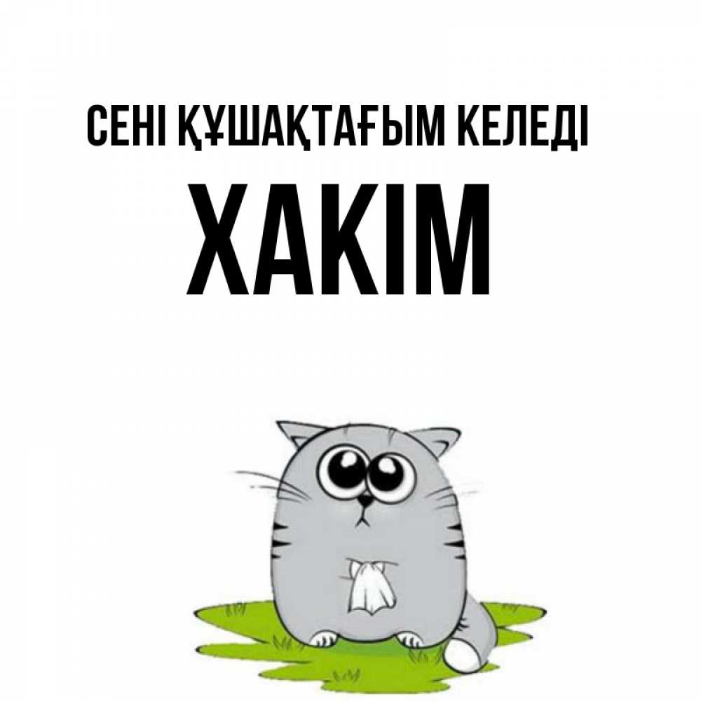 Күн сайын ашық хат с именем, ХАКІМ сені құшақтағым келеді котик теребит платочек сидя на травке Онлайн тегін жүктеп алу тілектері бар керемет карта 
