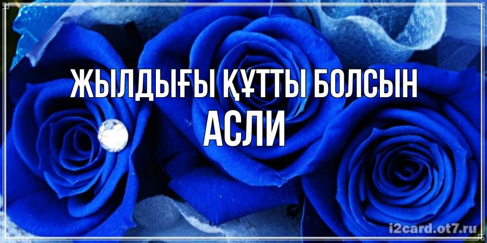Күн сайын ашық хат с именем, АСЛИ Жылдығы құтты болсын синие розы в росе Онлайн тегін жүктеп алу тілектері бар керемет карта 