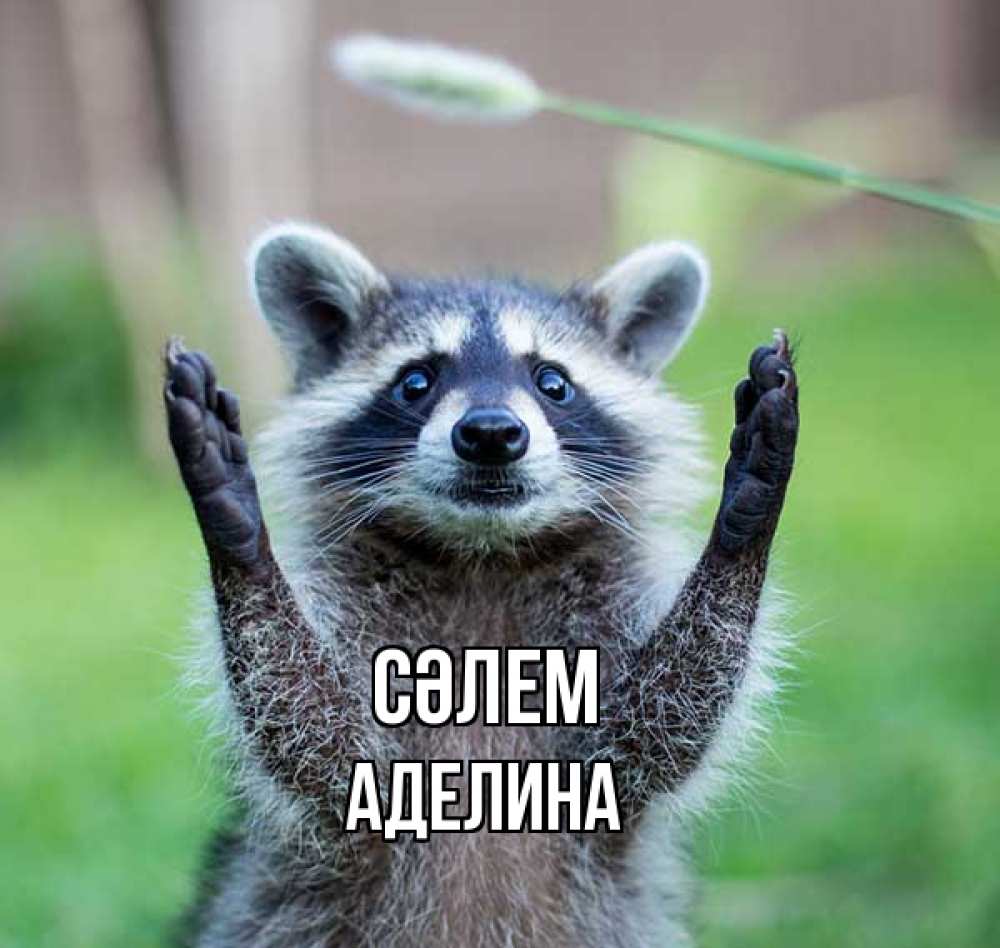 Күн сайын ашық хат с именем, Аделина Сәлем животные Онлайн тегін жүктеп алу тілектері бар керемет карта 