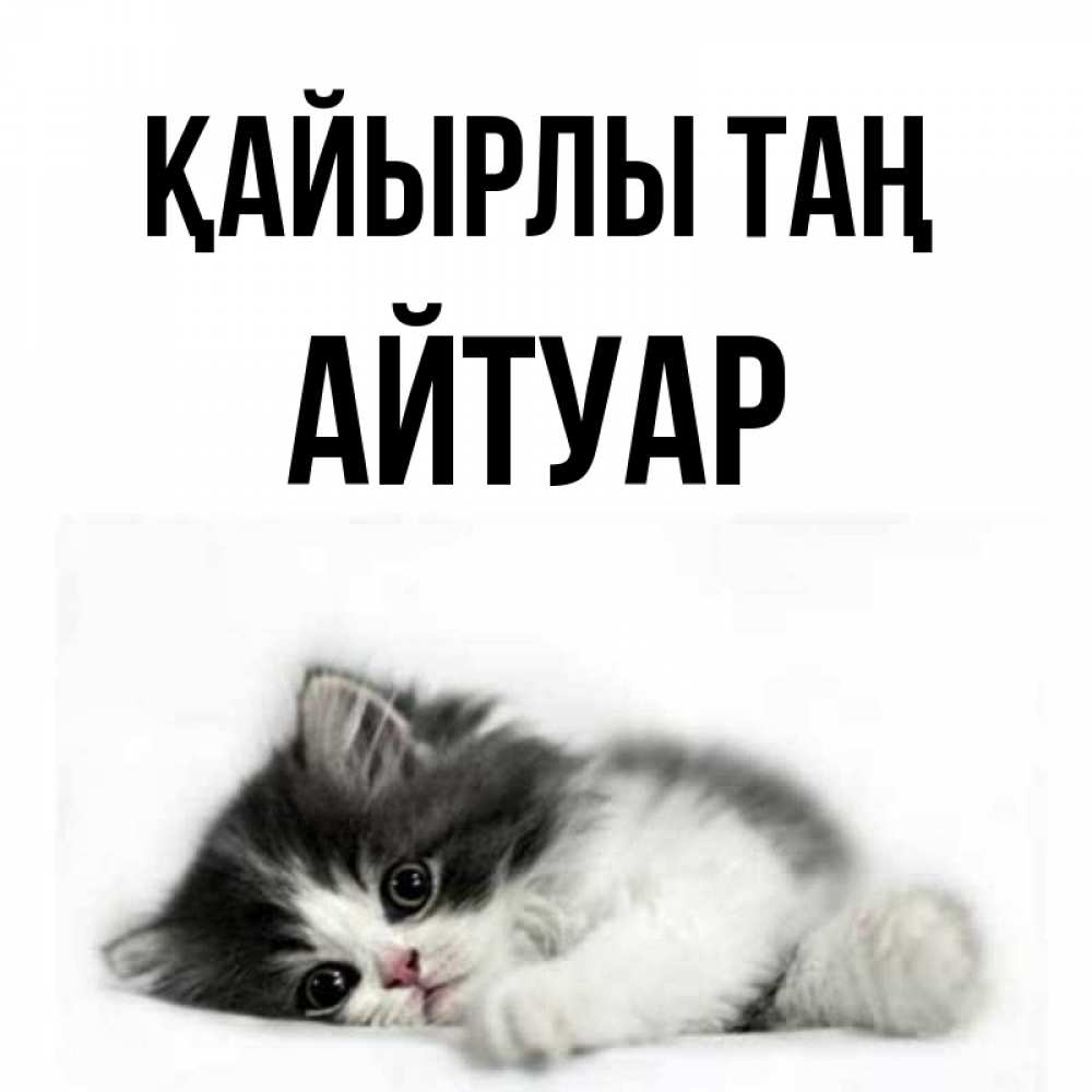Күн сайын ашық хат с именем, Айтуар Қайырлы таң кот лапки Онлайн тегін жүктеп алу тілектері бар керемет карта 