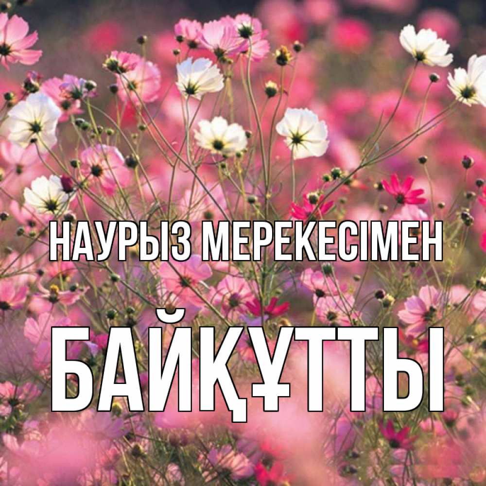 Күн сайын ашық хат с именем, Байқұтты Наурыз мерекесімен красиво 1 Онлайн тегін жүктеп алу тілектері бар керемет карта 