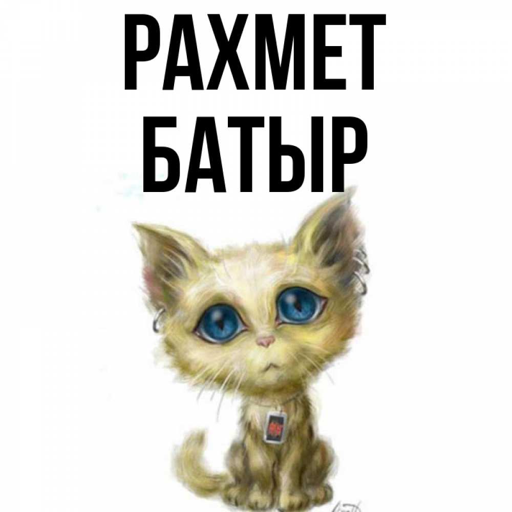 Күн сайын ашық хат с именем, Батыр рахмет рисованный кот благодарит вас Онлайн тегін жүктеп алу тілектері бар керемет карта 