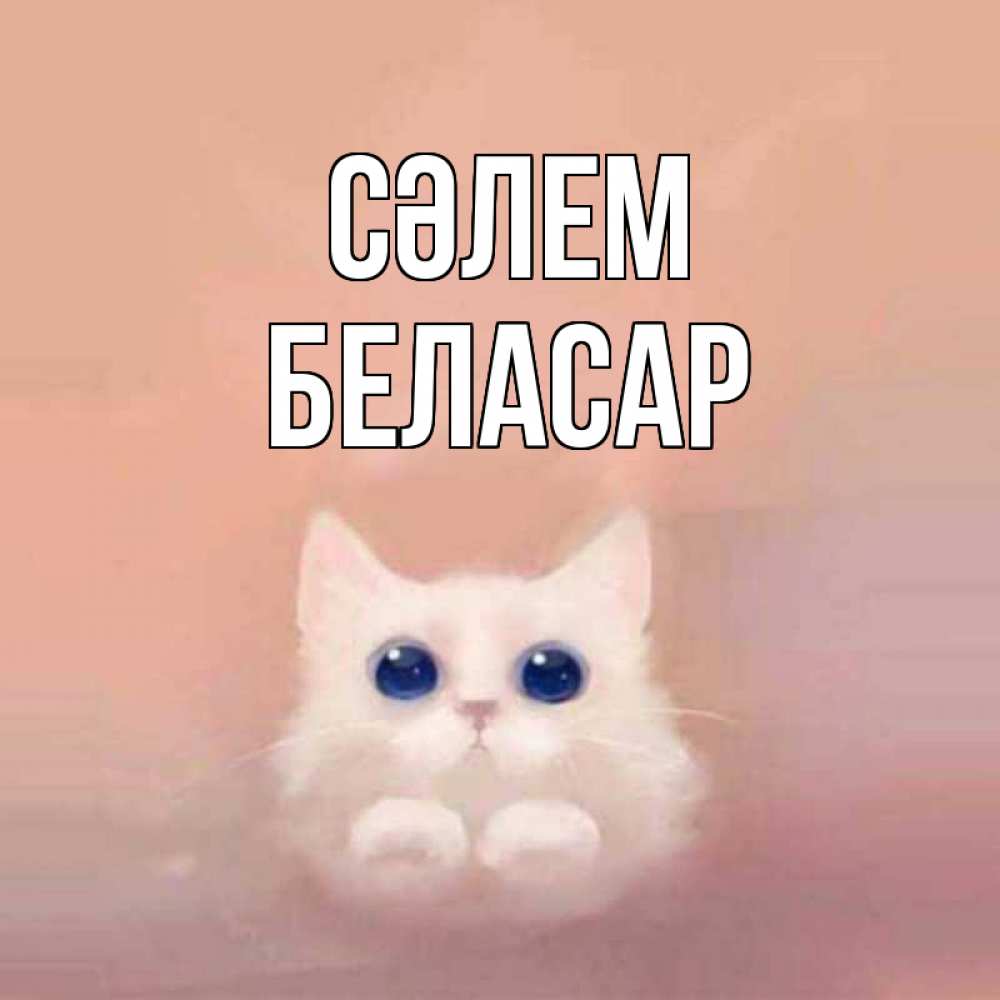Күн сайын ашық хат с именем, Беласар Сәлем котик белый в полете Онлайн тегін жүктеп алу тілектері бар керемет карта 