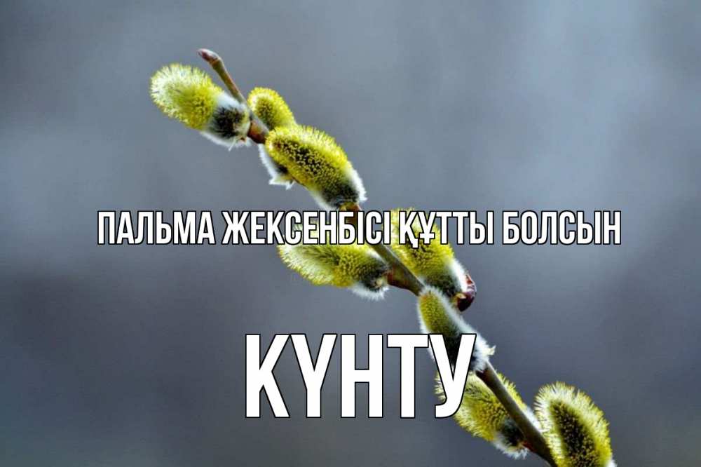 Күн сайын ашық хат с именем, Күнту Пальма жексенбісі құтты болсын верба Онлайн тегін жүктеп алу тілектері бар керемет карта 