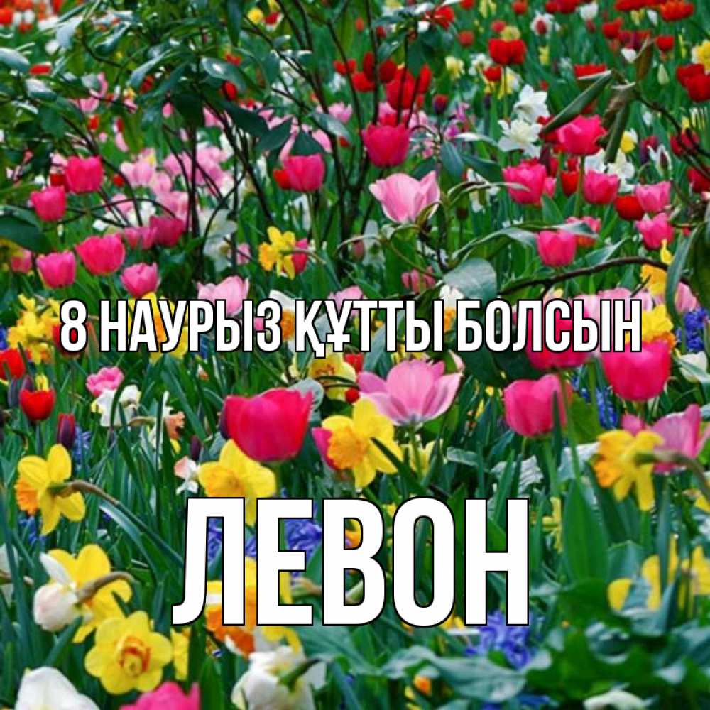Күн сайын ашық хат с именем, Левон 8 наурыз құтты болсын с международным женским днем поздравления для женщины Онлайн тегін жүктеп алу тілектері бар керемет карта 