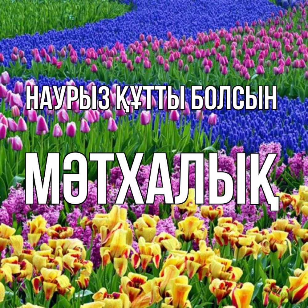 Күн сайын ашық хат с именем, МӘТХАЛЫҚ Наурыз құтты болсын цветы Онлайн тегін жүктеп алу тілектері бар керемет карта 