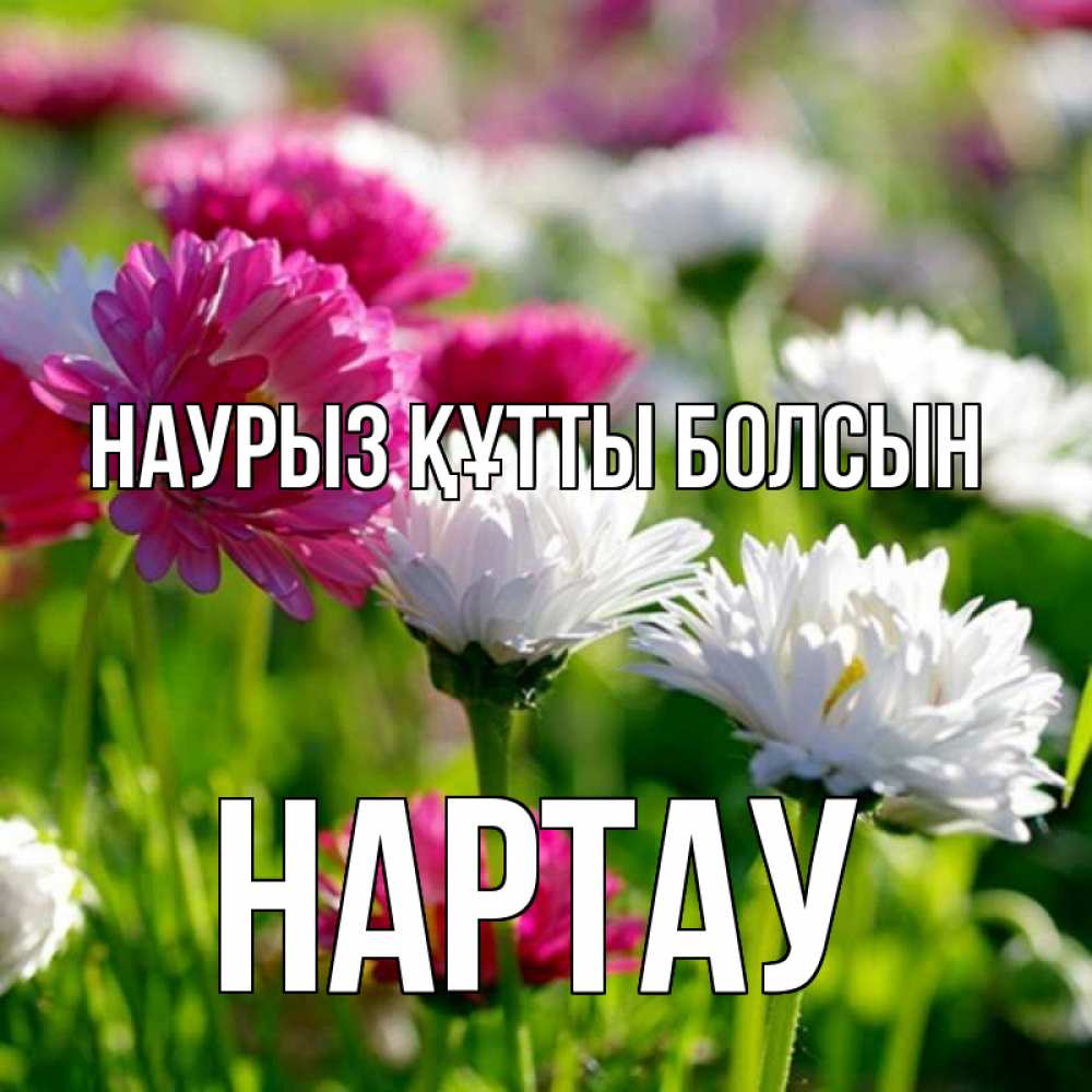 Күн сайын ашық хат с именем, НАРТАУ Наурыз құтты болсын наурыз Онлайн тегін жүктеп алу тілектері бар керемет карта 