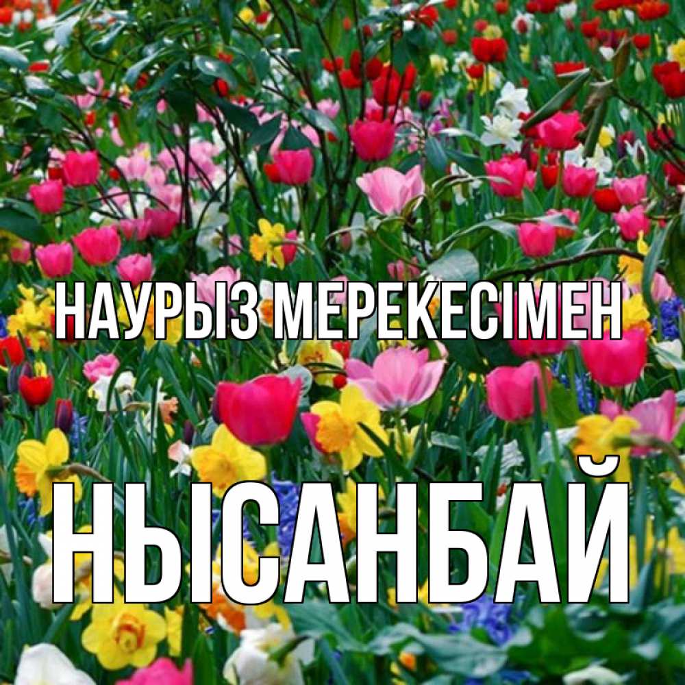 Күн сайын ашық хат с именем, НЫСАНБАЙ Наурыз мерекесімен с наурызом праздником весны поздравления для женщины Онлайн тегін жүктеп алу тілектері бар керемет карта 