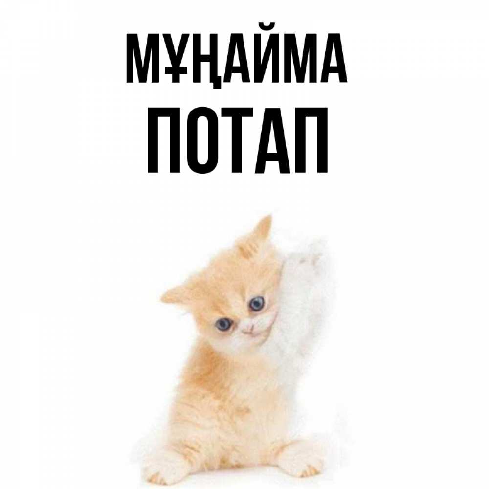 Күн сайын ашық хат с именем, Потап Мұңайма просящий кот Онлайн тегін жүктеп алу тілектері бар керемет карта 