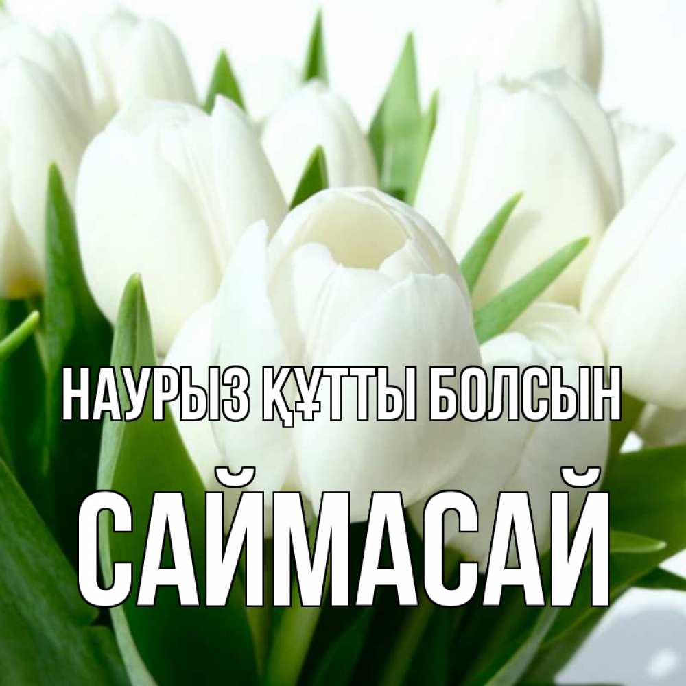 Күн сайын ашық хат с именем, САЙМАСАЙ Наурыз құтты болсын цветы Онлайн тегін жүктеп алу тілектері бар керемет карта 