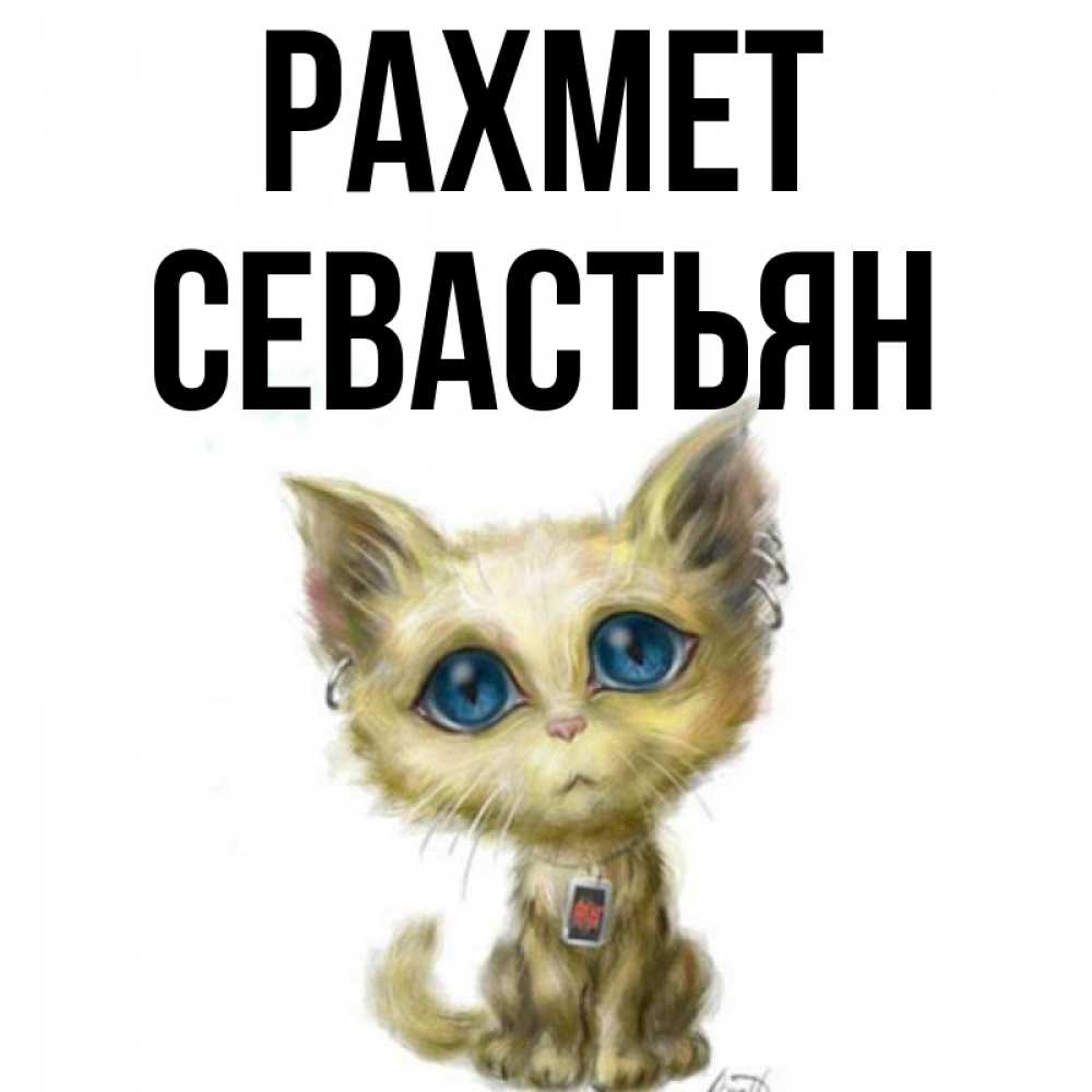 Күн сайын ашық хат с именем, Севастьян рахмет рисованный кот благодарит вас Онлайн тегін жүктеп алу тілектері бар керемет карта 