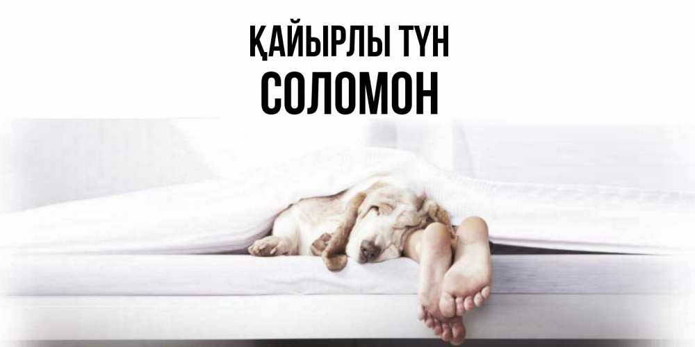 Күн сайын ашық хат с именем, Соломон Қайырлы түн кровать с собакой пожелание сладких снов и спокойной ночи Онлайн тегін жүктеп алу тілектері бар керемет карта 