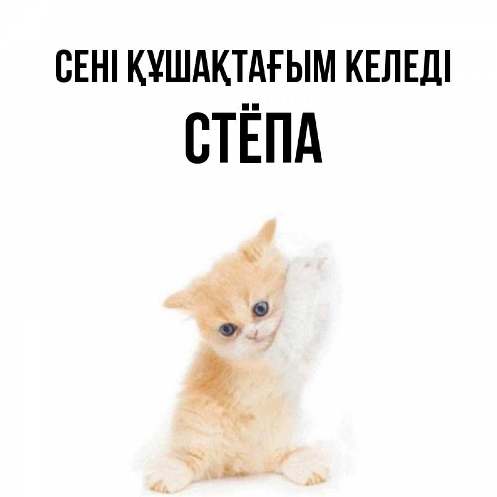 Күн сайын ашық хат с именем, Стёпа сені құшақтағым келеді я хочу очень скорее обнимаешек Онлайн тегін жүктеп алу тілектері бар керемет карта 