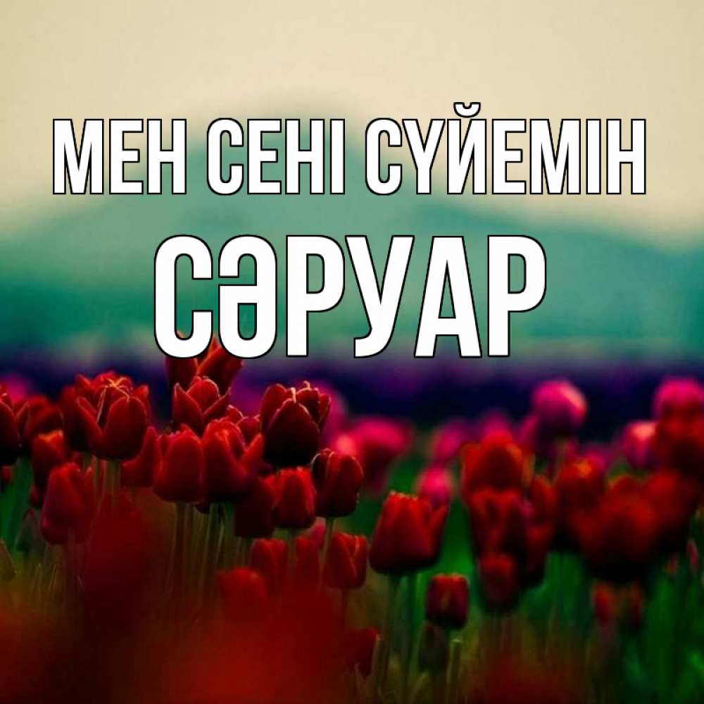 Күн сайын ашық хат с именем, СӘРУАР Мен сені сүйемін тюльпаны 4 Онлайн тегін жүктеп алу тілектері бар керемет карта 