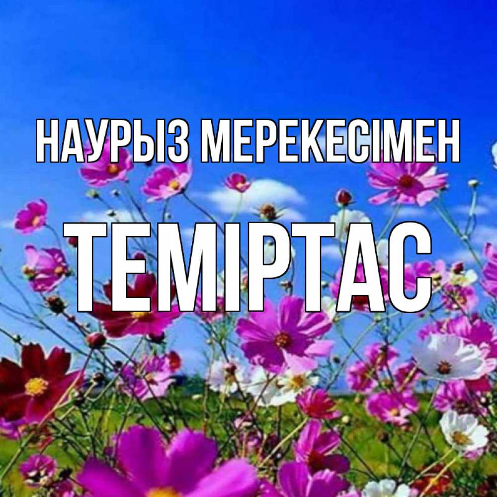 Күн сайын ашық хат с именем, ТЕМІРТАС Наурыз мерекесімен цветы Онлайн тегін жүктеп алу тілектері бар керемет карта 