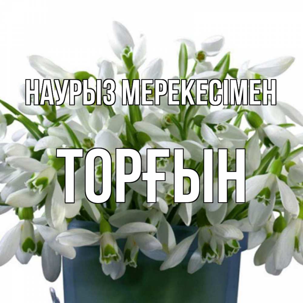 Күн сайын ашық хат с именем, ТОРҒЫН Наурыз мерекесімен цветы к наурызу новый год в Казахстане Онлайн тегін жүктеп алу тілектері бар керемет карта 