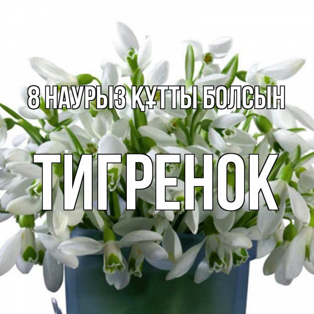 Күн сайын ашық хат с именем, Тигренок 8 наурыз құтты болсын цветы к международному женскому дню Онлайн тегін жүктеп алу тілектері бар керемет карта 