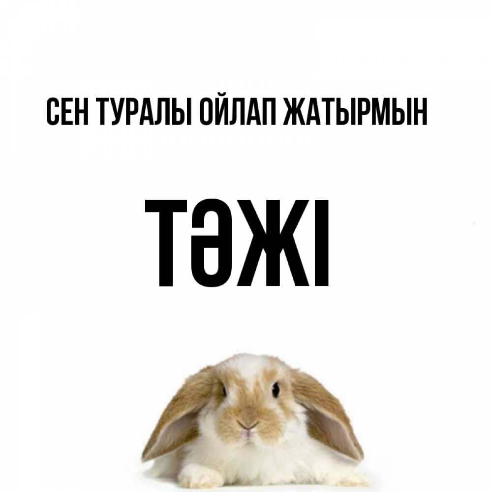 Күн сайын ашық хат с именем, ТӘЖІ Сен туралы ойлап жатырмын подписать своими руками онлайн Онлайн тегін жүктеп алу тілектері бар керемет карта 