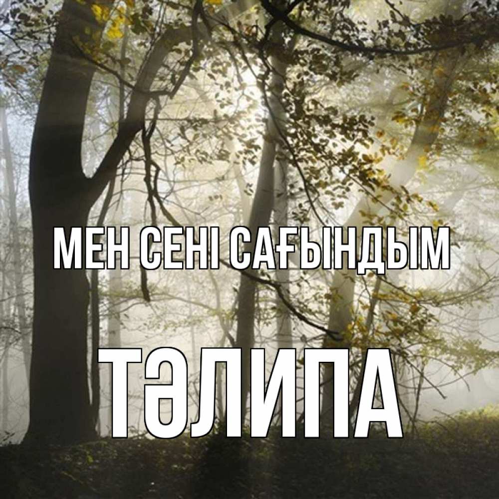 Күн сайын ашық хат с именем, ТӘЛИПА Мен сені сағындым грустно Онлайн тегін жүктеп алу тілектері бар керемет карта 