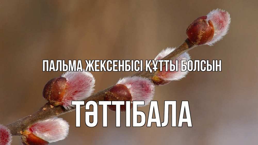 Күн сайын ашық хат с именем, ТӘТТІБАЛА Пальма жексенбісі құтты болсын верба Онлайн тегін жүктеп алу тілектері бар керемет карта 