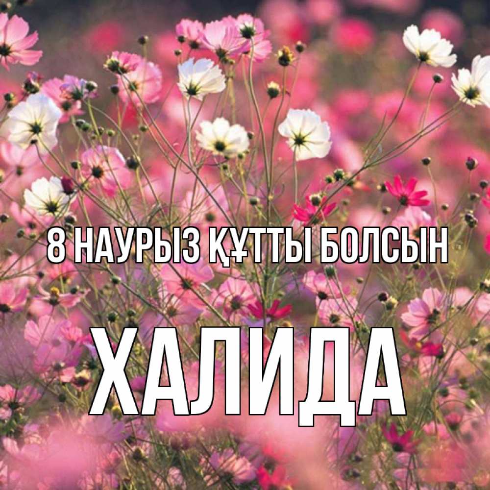 Күн сайын ашық хат с именем, ХАЛИДА 8 наурыз құтты болсын красиво 1 Онлайн тегін жүктеп алу тілектері бар керемет карта 
