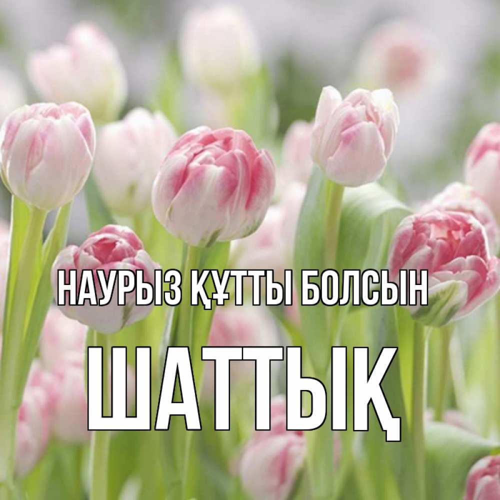 Күн сайын ашық хат с именем, ШАТТЫҚ Наурыз құтты болсын цветы Онлайн тегін жүктеп алу тілектері бар керемет карта 