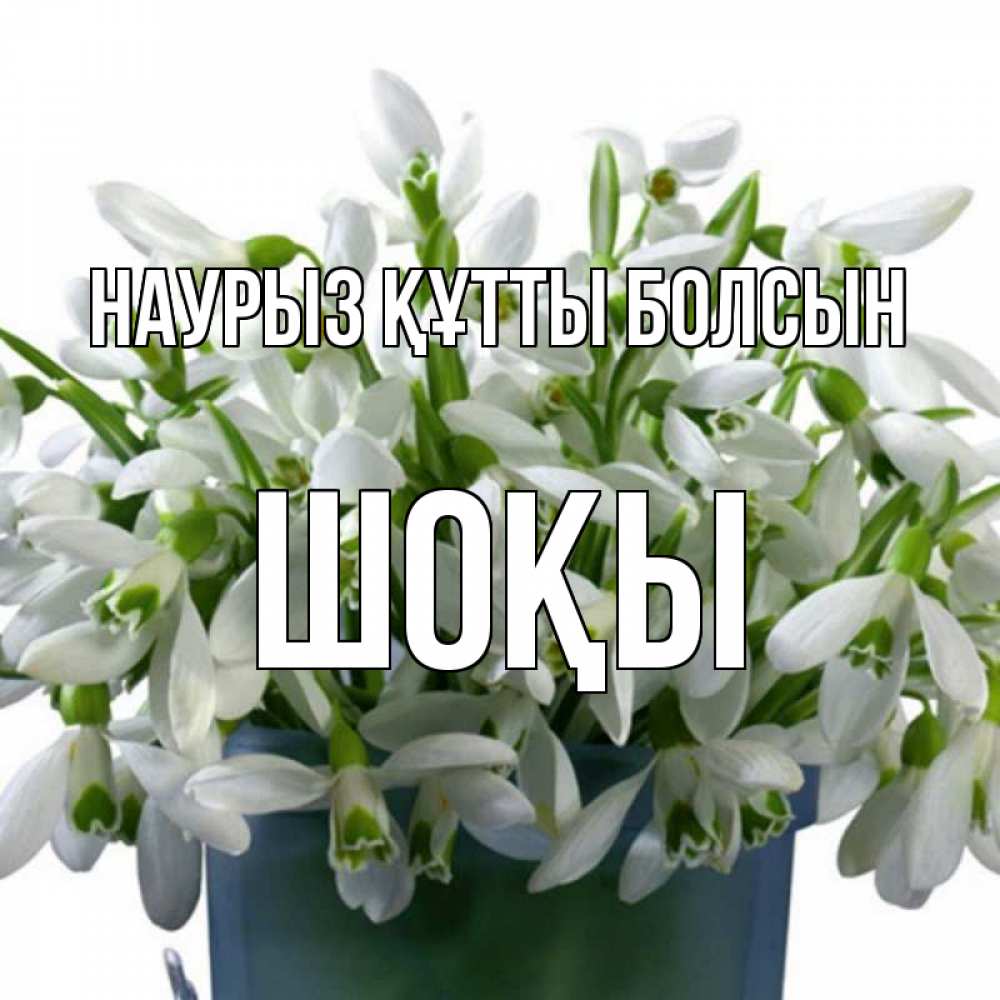 Күн сайын ашық хат с именем, ШОҚЫ Наурыз құтты болсын цветы к наурызу Онлайн тегін жүктеп алу тілектері бар керемет карта 