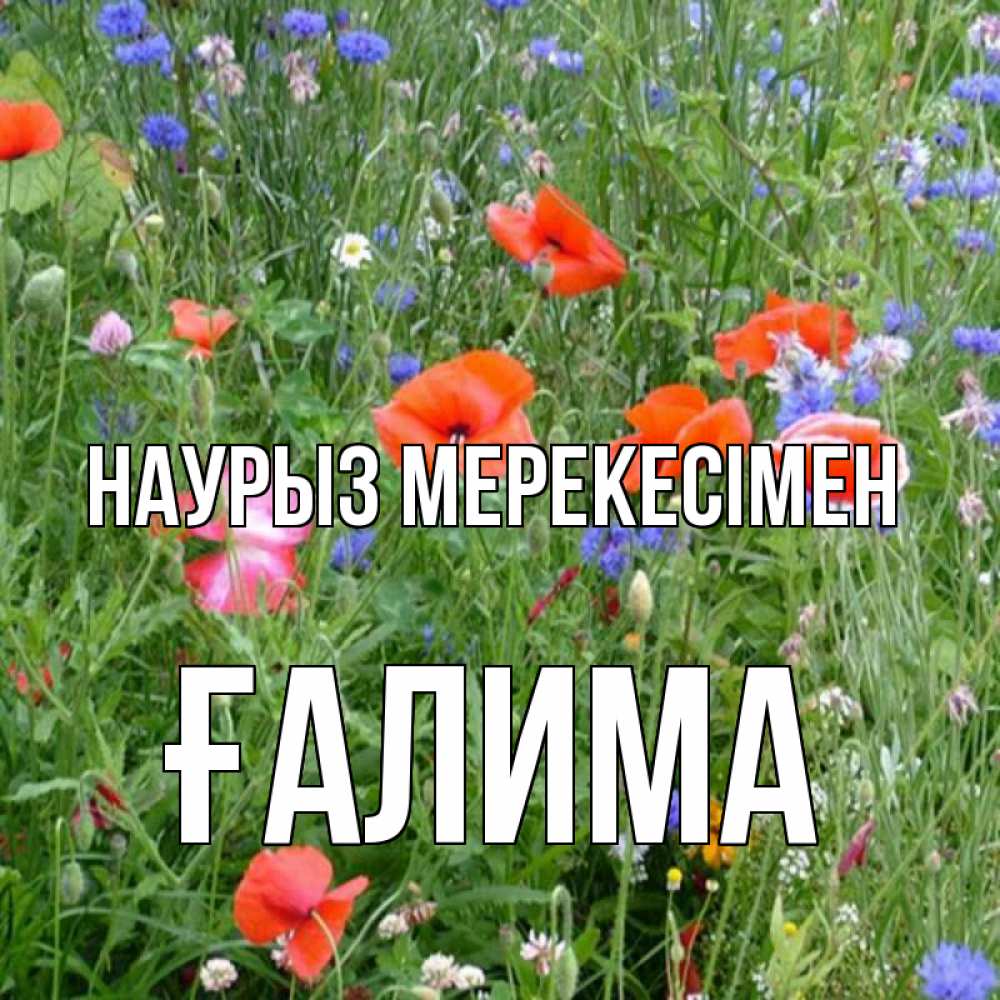 Күн сайын ашық хат с именем, ҒАЛИМА Наурыз мерекесімен праздник весны наурыз супер открытка Онлайн тегін жүктеп алу тілектері бар керемет карта 