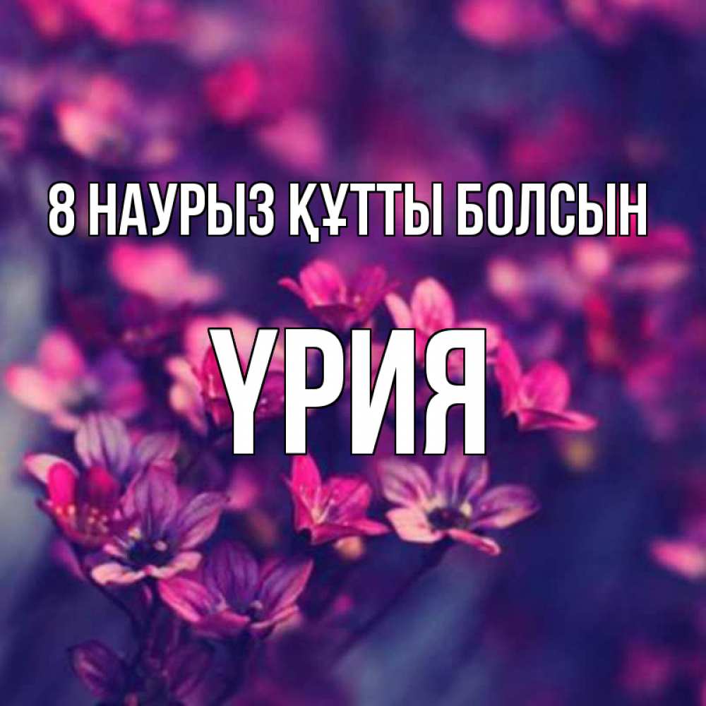 Күн сайын ашық хат с именем, ҮРИЯ 8 наурыз құтты болсын небольшие цветы 1 Онлайн тегін жүктеп алу тілектері бар керемет карта 
