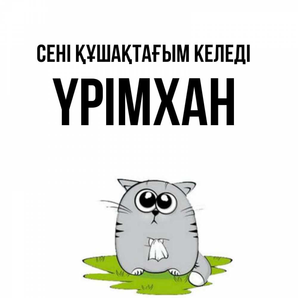 Күн сайын ашық хат с именем, Үрімхан сені құшақтағым келеді котик теребит платочек сидя на травке Онлайн тегін жүктеп алу тілектері бар керемет карта 