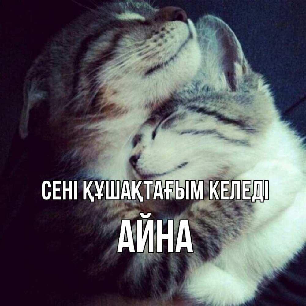 Күн сайын ашық хат с именем, АЙНА сені құшақтағым келеді полосатики Онлайн тегін жүктеп алу тілектері бар керемет карта 