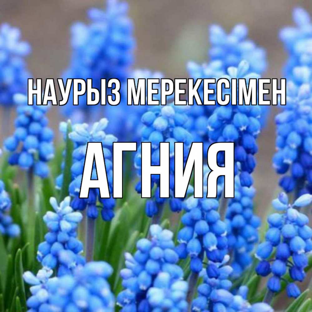 Күн сайын ашық хат с именем, Агния Наурыз мерекесімен Поздравительная открытка для женщин с цветами на праздничную дату Онлайн тегін жүктеп алу тілектері бар керемет карта 