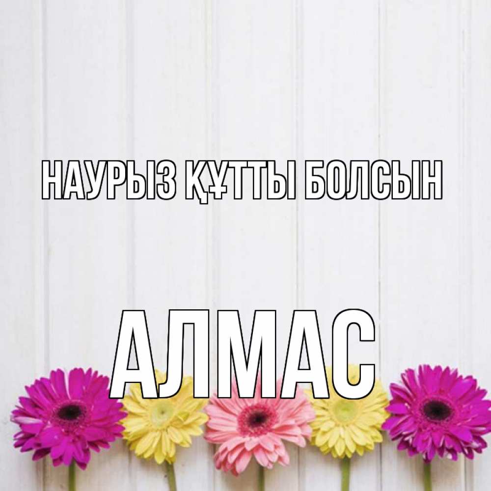 Күн сайын ашық хат с именем, Алмас Наурыз құтты болсын женщинам 1 Онлайн тегін жүктеп алу тілектері бар керемет карта 