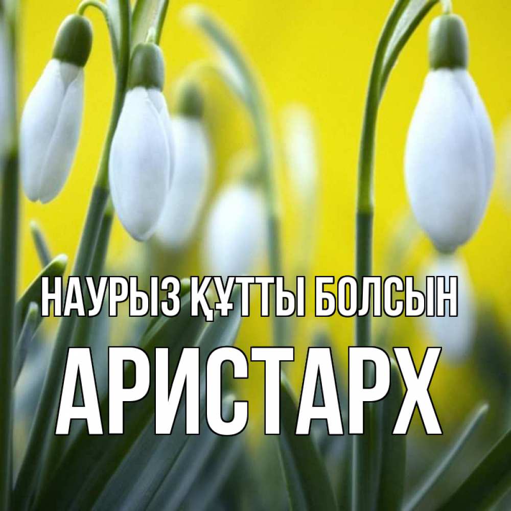 Күн сайын ашық хат с именем, Аристарх Наурыз құтты болсын весенние цветы Онлайн тегін жүктеп алу тілектері бар керемет карта 